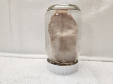Load image into Gallery viewer, Animal Tongues - Wet Specimens
