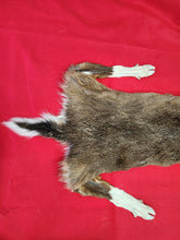 Load image into Gallery viewer, Taxidermy Quality White-tailed Deer - Wet Tanned