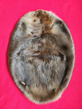 Load image into Gallery viewer, Large Beaver BVR1011
