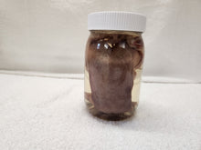 Load image into Gallery viewer, Animal Tongues - Wet Specimens