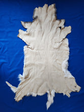 Load image into Gallery viewer, Whitetail Deer Hide - WTD1002