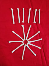 Load image into Gallery viewer, Coyote Foot - Toe - Ankle Bones