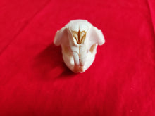 Load image into Gallery viewer, Medium Beaver Skull - BVS1027