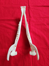 Load image into Gallery viewer, Cow Elk Skull - CES1002