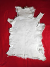 Load image into Gallery viewer, Caribou - Reindeer Hide - CAR1001