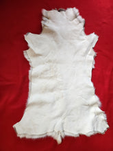 Load image into Gallery viewer, Caribou - Reindeer Hide - CAR1002