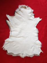 Load image into Gallery viewer, Caribou - Reindeer Hide - CAR1003