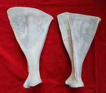 Load image into Gallery viewer, Elk Scapulas - Shoulder Blades