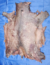 Load image into Gallery viewer, Raw Elk Hide - REH1003