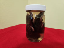 Load image into Gallery viewer, Animal Feet/Paws - Wet Specimens