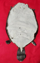 Load image into Gallery viewer, Large Beaver - HAS FEET AND CLAWS - BVR1051