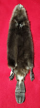 Load image into Gallery viewer, Small CASED Beaver - Taxidermy Quality - BVR1050