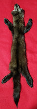 Load image into Gallery viewer, Large Marten - HAS FEET AND CLAWS - MTN1004