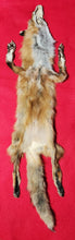 Load image into Gallery viewer, Large Red Fox Hide - HAS FEET AND CLAWS - RFX1003