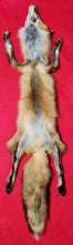 Load image into Gallery viewer, Large Red Fox - HAS FEET AND CLAWS - RFX1002