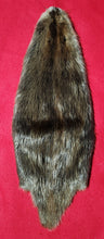 Load image into Gallery viewer, LM Beaver - CASED - BVR1069