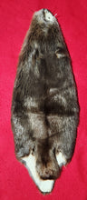 Load image into Gallery viewer, LM Beaver - CASED - BVR1069