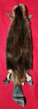 Load image into Gallery viewer, Small CASED Beaver - HAS FEET AND CLAWS - BVR1077