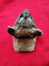 Load image into Gallery viewer, Mountain Lion Head/Face - MTL1022D1