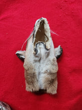 Load image into Gallery viewer, Mountain Lion Head/Face - MTL1022D1