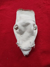 Load image into Gallery viewer, Mountain Lion Head/Face - MTL1022D1