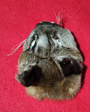 Load image into Gallery viewer, Mountain Lion Head/Face - MTL1039