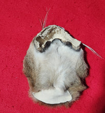 Load image into Gallery viewer, Mountain Lion Head/Face - MTL1039