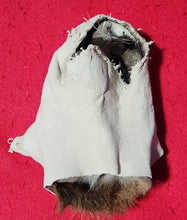 Load image into Gallery viewer, Mountain Lion Head/Face - MTL1039