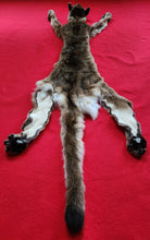 Load image into Gallery viewer, Idaho Tom Mountain Lion - HAS FEET - MTL1041