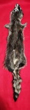 Load image into Gallery viewer, XL Raccoon - RAC1005