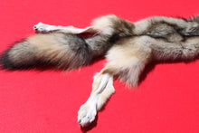 Load image into Gallery viewer, Nice Canadian Grey Wolf #33