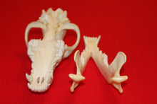Load image into Gallery viewer, XXL Wolf Skull - 2021-26