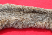 Load image into Gallery viewer, TAXIDERMY QUALITY TANNED N. IDAHO MALE BOBCAT # (2023 - 09 )