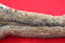 Load image into Gallery viewer, TAXIDERMY QUALITY NORTH IDAHO MALE BOBCAT # ( 2025 --13 )