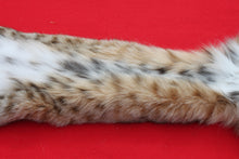Load image into Gallery viewer, NORTH IDAHO TOM BOBCAT - HAS FEET AND CLAWS - (195 - 16 )