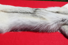 Load image into Gallery viewer, Canadian Arctic Wolf - Taxidermy Quality - WLF1001