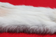 Load image into Gallery viewer, Canadian Arctic Wolf - Taxidermy Quality - WLF1001