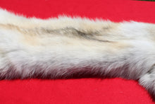 Load image into Gallery viewer, Canadian Arctic Wolf - Taxidermy Quality - WLF1003