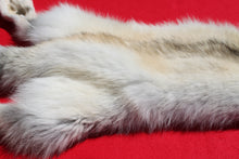 Load image into Gallery viewer, Canadian Arctic Wolf - Taxidermy Quality - WLF1003