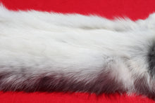 Load image into Gallery viewer, Canadian Arctic Wolf - Taxidermy Quality - WLF1003