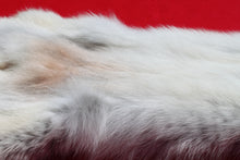Load image into Gallery viewer, Canadian Arctic Wolf - Taxidermy Quality - WLF1003