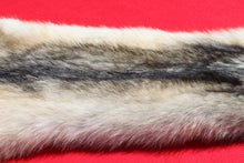 Load image into Gallery viewer, Canadian Gray Wolf - Taxidermy Quality - WLF1005