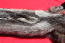 Load image into Gallery viewer, BLACK Canadian wolf - Taxidermy Quality - WLF1006