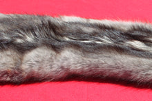Load image into Gallery viewer, BLACK Canadian wolf - Taxidermy Quality - WLF1006
