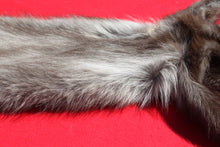 Load image into Gallery viewer, BLACK Canadian wolf - Taxidermy Quality - WLF1006