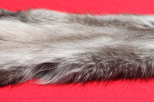 Load image into Gallery viewer, BLACK Canadian wolf - Taxidermy Quality - WLF1006