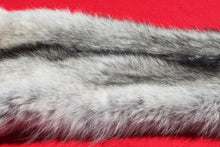 Load image into Gallery viewer, Canadian Gray Wolf - Taxidermy Quality - WLF1007