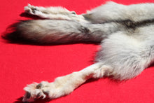 Load image into Gallery viewer, Canadian Gray Wolf - Taxidermy Quality - WLF1007