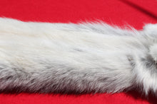 Load image into Gallery viewer, Canadian Gray Wolf - Taxidermy Quality - WLF1007