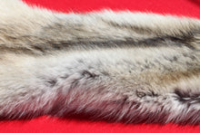 Load image into Gallery viewer, Canadian Arctic Wolf - Taxidermy Quality - WLF1009